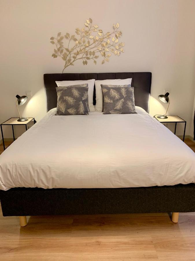 Appartements Des 2 Tetes Colmar Exteriör bild