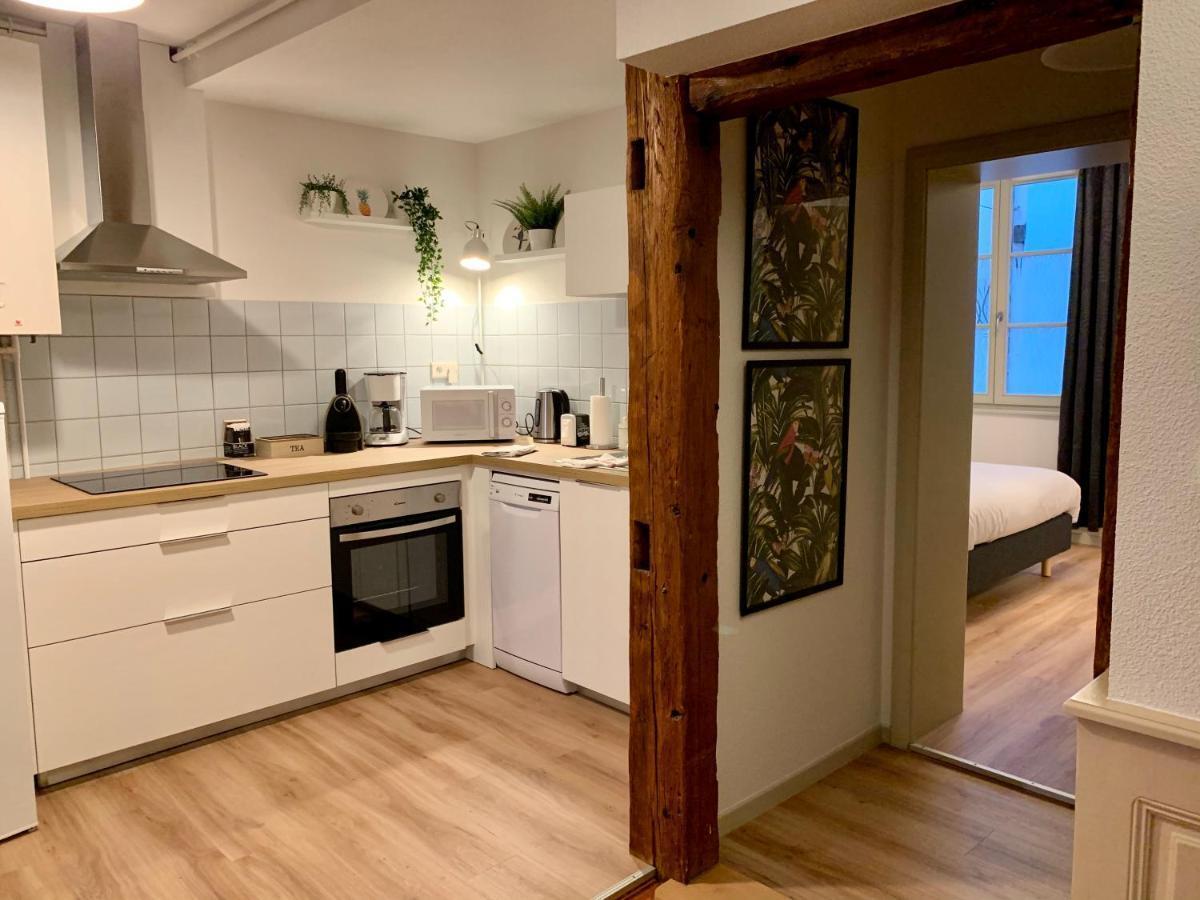 Appartements Des 2 Tetes Colmar Exteriör bild