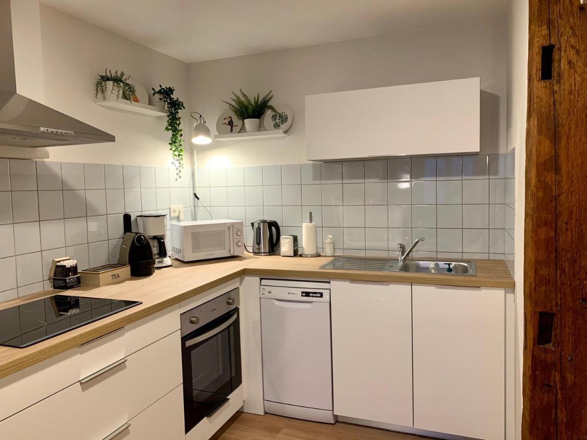 Appartements Des 2 Tetes Colmar Exteriör bild