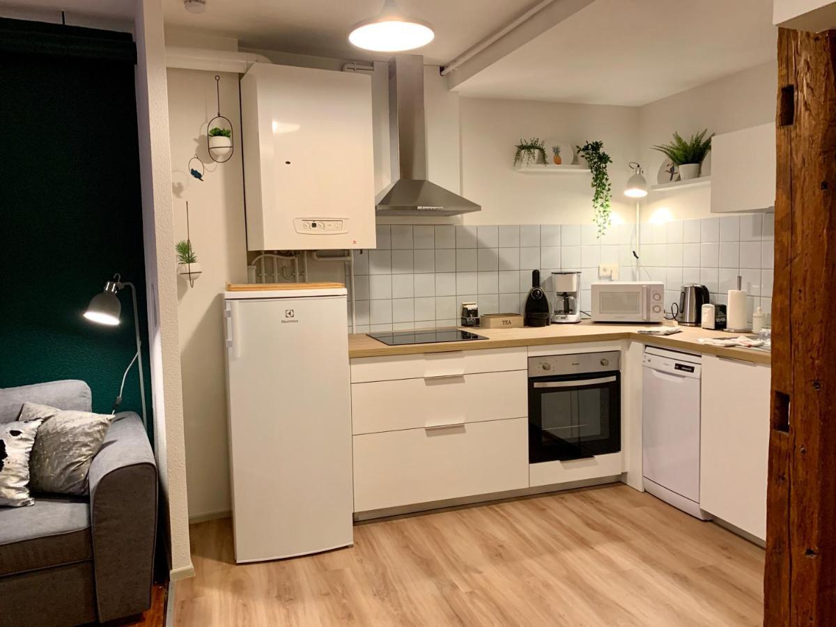 Appartements Des 2 Tetes Colmar Exteriör bild